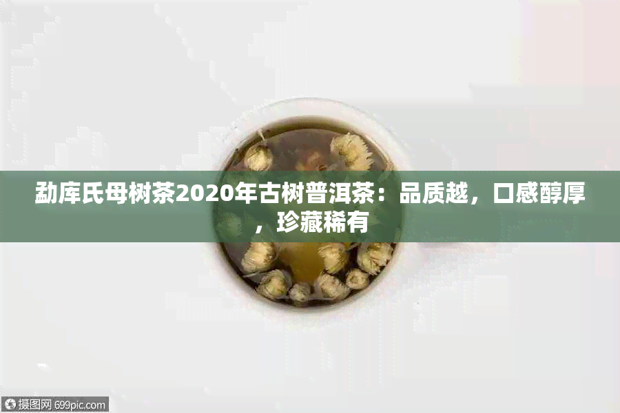 勐库氏母树茶2020年古树普洱茶：品质越，口感醇厚，珍藏稀有