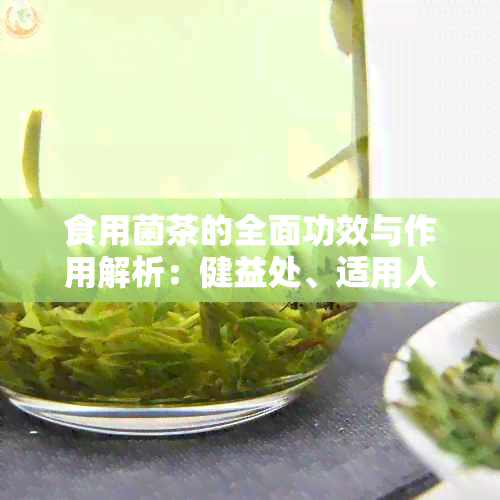 食用菌茶的全面功效与作用解析：健益处、适用人群与饮用方法