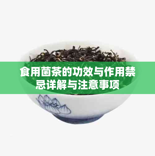 食用菌茶的功效与作用禁忌详解与注意事项