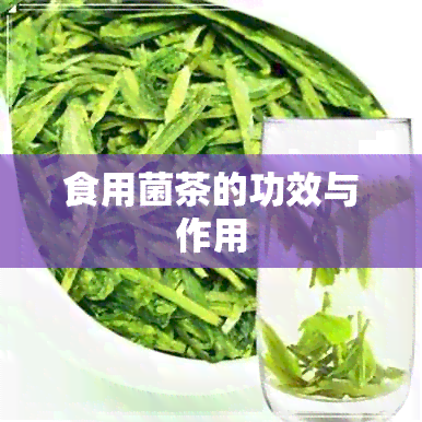 食用菌茶的功效与作用