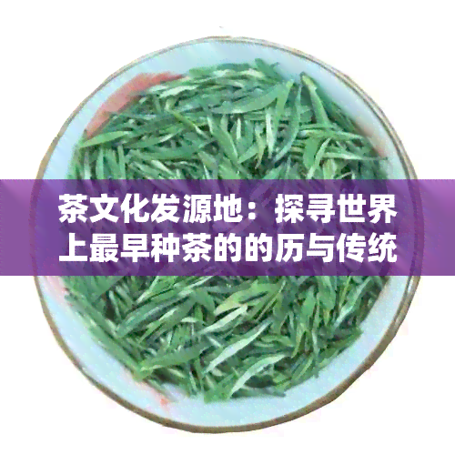 茶文化发源地：探寻世界上最早种茶的的历与传统