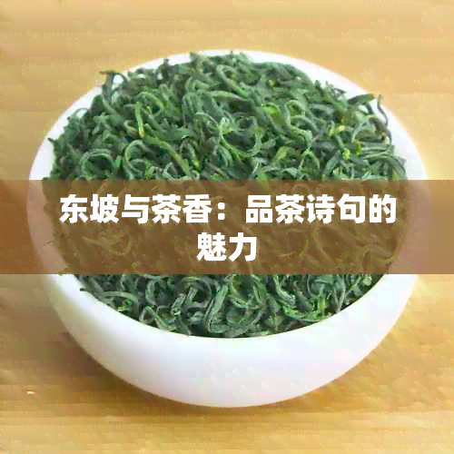 东坡与茶香：品茶诗句的魅力