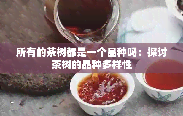 所有的茶树都是一个品种吗：探讨茶树的品种多样性