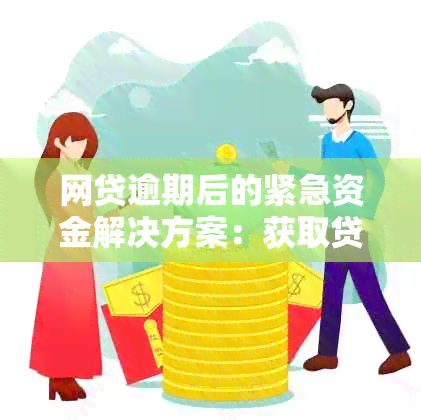 网贷逾期后的紧急资金解决方案：获取贷款、借款和应急金的途径