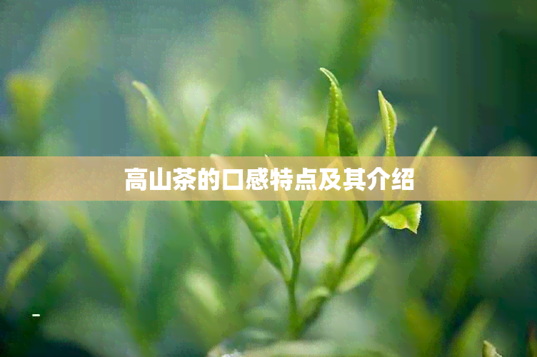 高山茶的口感特点及其介绍