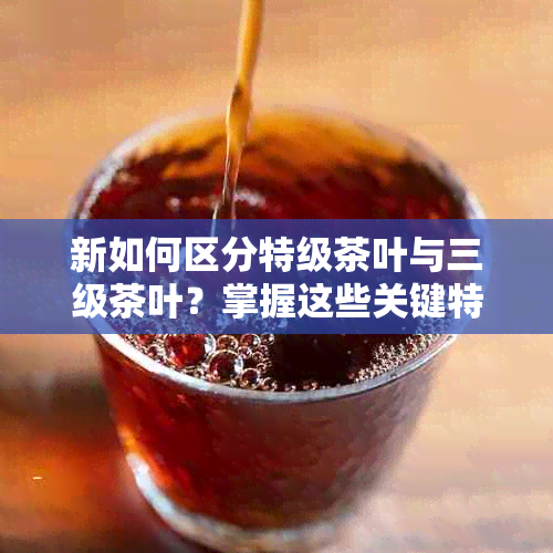 新如何区分特级茶叶与三级茶叶？掌握这些关键特征！