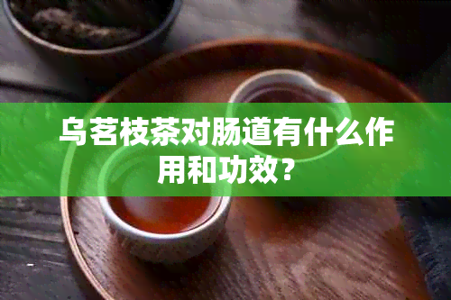 乌茗枝茶对肠道有什么作用和功效？