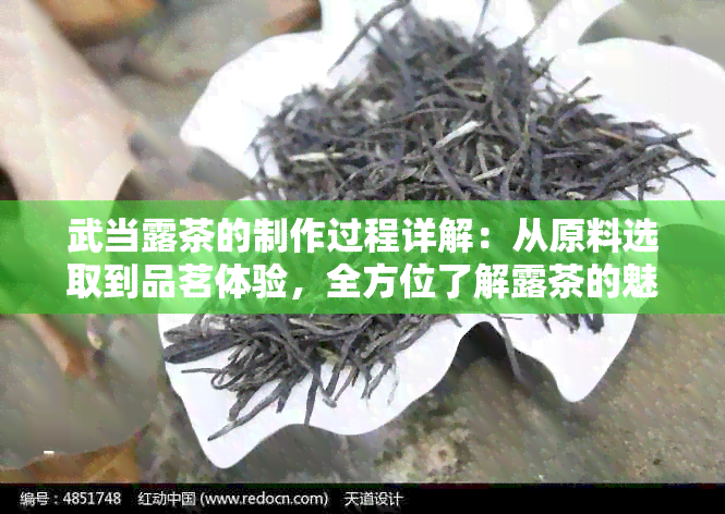 武当露茶的制作过程详解：从原料选取到品茗体验，全方位了解露茶的魅力