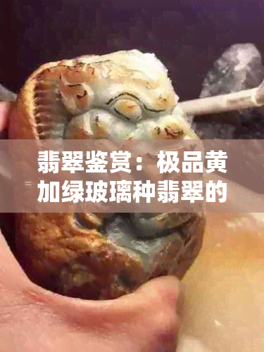 翡翠鉴赏：极品黄加绿玻璃种翡翠的全方位价值解析