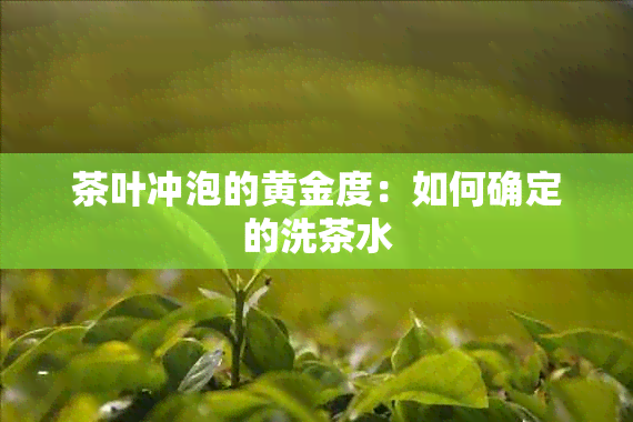 茶叶冲泡的黄金度：如何确定的洗茶水