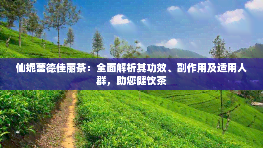 仙妮蕾德佳丽茶：全面解析其功效、副作用及适用人群，助您健饮茶