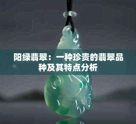 阳绿翡翠：一种珍贵的翡翠品种及其特点分析