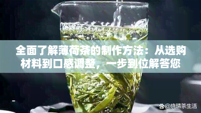 全面了解薄荷茶的制作方法：从选购材料到口感调整，一步到位解答您的疑问