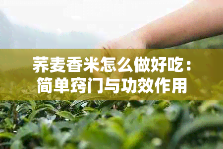 荞麦香米怎么做好吃：简单窍门与功效作用