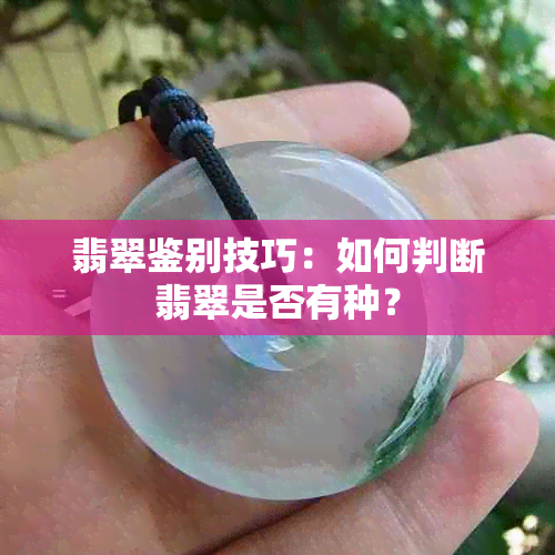 翡翠鉴别技巧：如何判断翡翠是否有种？