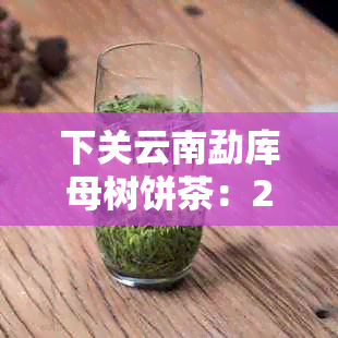 下关云南勐库母树饼茶：2019年品质如何？为什么比沱茶贵？