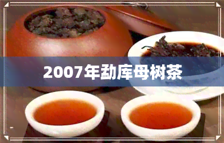 2007年勐库母树茶