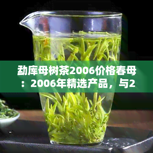 勐库母树茶2006价格春母：2006年精选产品，与2007年有何区别？