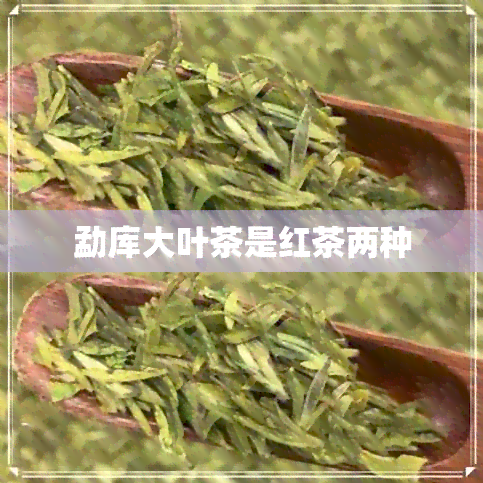 勐库大叶茶是红茶两种