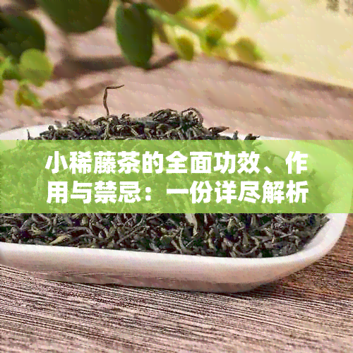 小稀藤茶的全面功效、作用与禁忌：一份详尽解析，解答您的所有疑问