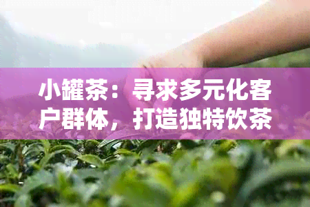 小罐茶：寻求多元化客户群体，打造独特饮茶文化体验