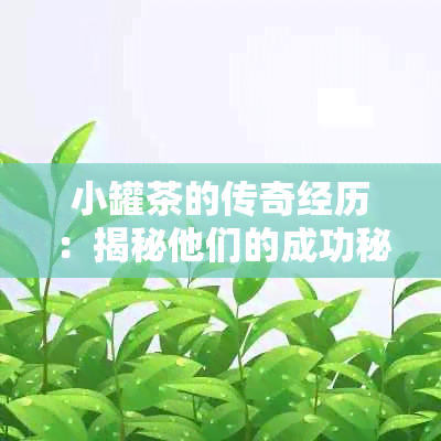 小罐茶的传奇经历：揭秘他们的成功秘诀和背后故事