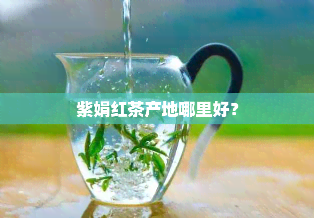 紫娟红茶产地哪里好？