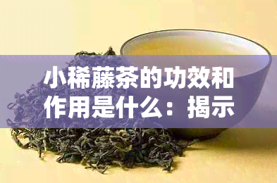 小稀藤茶的功效和作用是什么：揭示其健益处及理特性