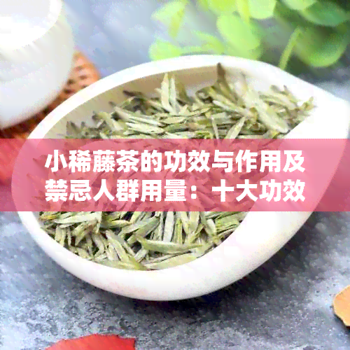 小稀藤茶的功效与作用及禁忌人群用量：十大功效让你健无忧。