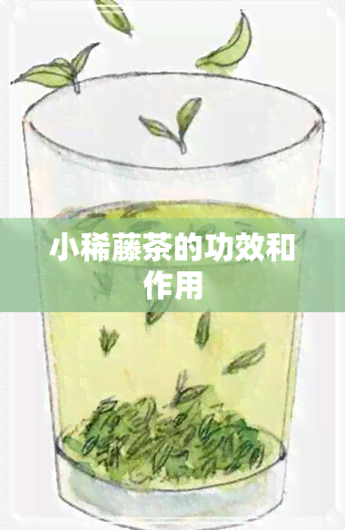 小稀藤茶的功效和作用