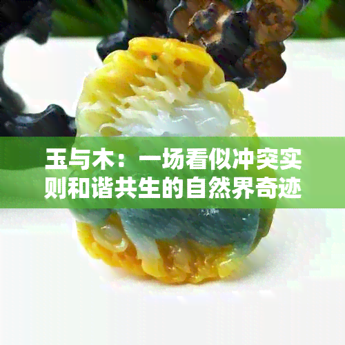 玉与木：一场看似冲突实则和谐共生的自然界奇迹