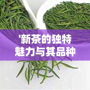 '新茶的独特魅力与其品种特性的关系：一场味觉与视觉的宴'