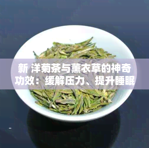 新 洋菊茶与薰衣草的神奇功效：缓解压力、提升睡眠质量与皮肤健