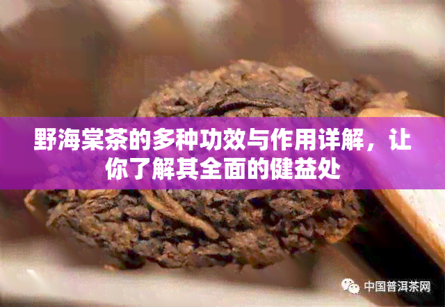 野海棠茶的多种功效与作用详解，让你了解其全面的健益处