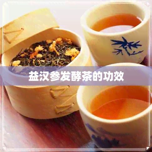 益汉参发酵茶的功效