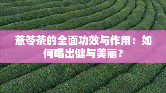 薏苓茶的全面功效与作用：如何喝出健与美丽？