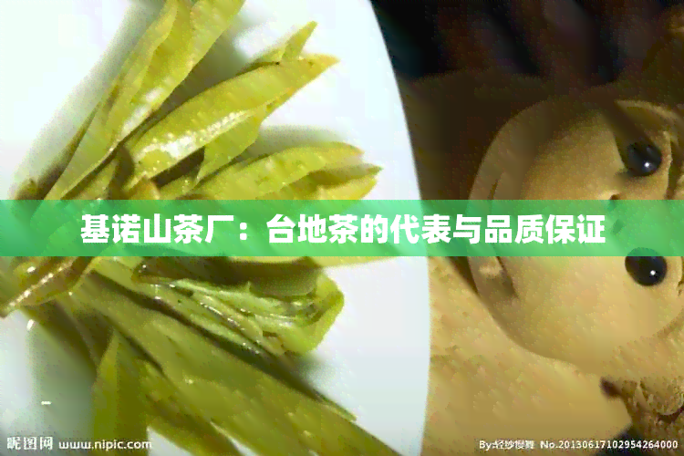 基诺山茶厂：台地茶的代表与品质保证