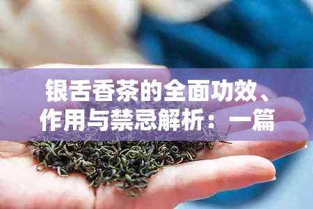 银舌香茶的全面功效、作用与禁忌解析：一篇详细解答用户疑问的文章