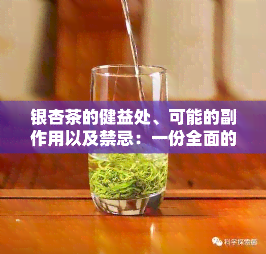 银杏茶的健益处、可能的副作用以及禁忌：一份全面的指南