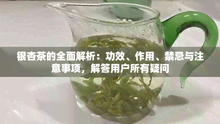 银杏茶的全面解析：功效、作用、禁忌与注意事项，解答用户所有疑问