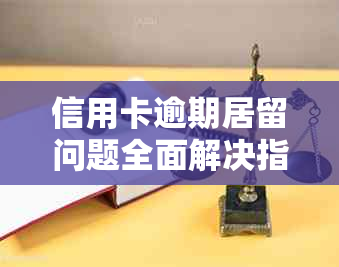 信用卡逾期居留问题全面解决指南：手续、影响与应对策略