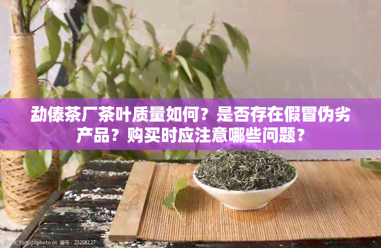 勐傣茶厂茶叶质量如何？是否存在假冒伪劣产品？购买时应注意哪些问题？