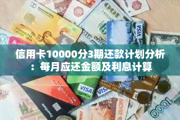 信用卡10000分3期还款计划分析：每月应还金额及利息计算