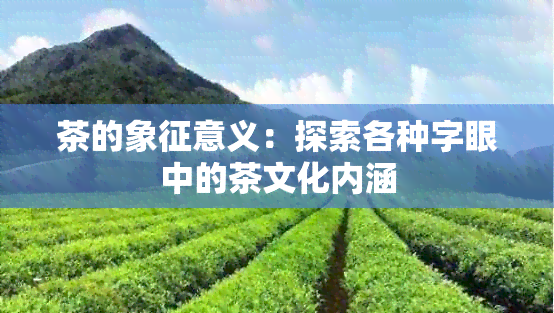 茶的象征意义：探索各种字眼中的茶文化内涵