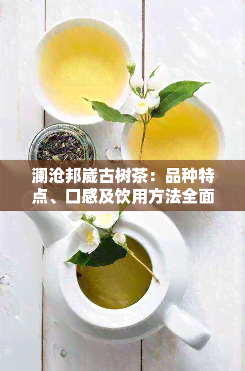 澜沧邦崴古树茶：品种特点、口感及饮用方法全面解析