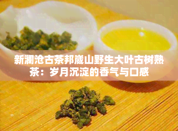 新澜沧古茶邦崴山野生大叶古树熟茶：岁月沉淀的香气与口感