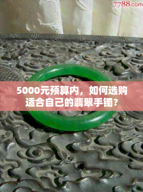 5000元预算内，如何选购适合自己的翡翠手镯？