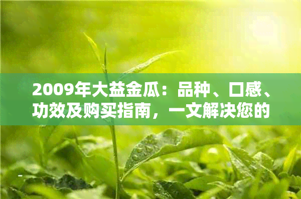 2009年大益金瓜：品种、口感、功效及购买指南，一文解决您的所有疑问