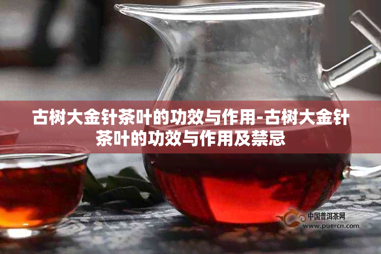 古树大金针茶叶的功效与作用-古树大金针茶叶的功效与作用及禁忌