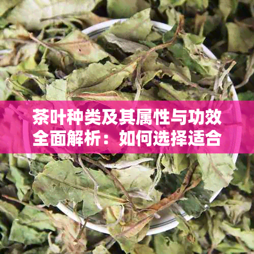 茶叶种类及其属性与功效全面解析：如何选择适合你的茶叶？